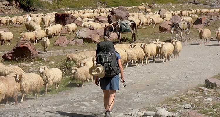 ARMENIEN OG GEORGIEN I KAUKASUS BJERGENE