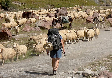 ARMENIEN OG GEORGIEN I KAUKASUS BJERGENE