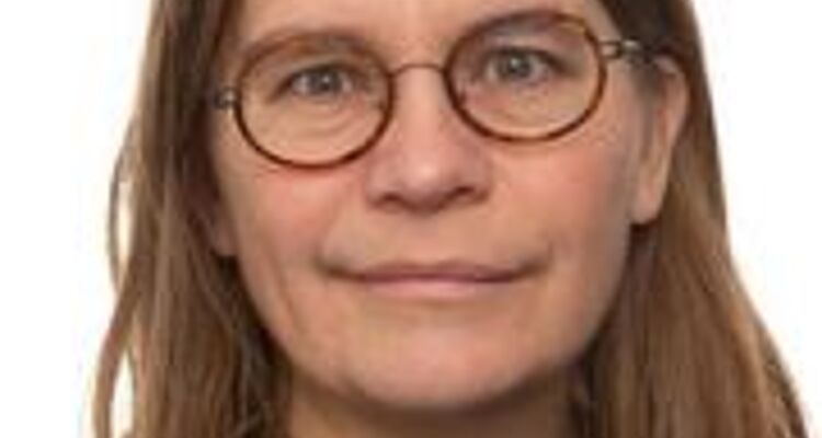 DE FØRSTE SOMMERHUSE