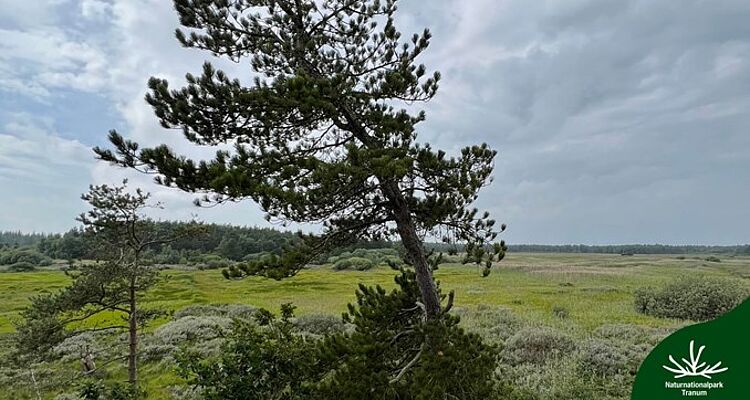 NATUR NATIONALPARKER