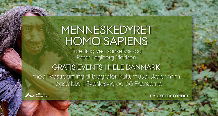 Plakat for arrangementet