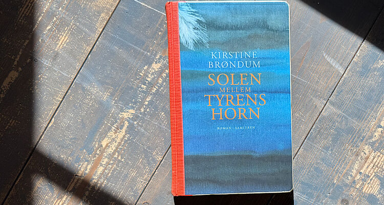 SOLEN MELLEM TYRENS HORN