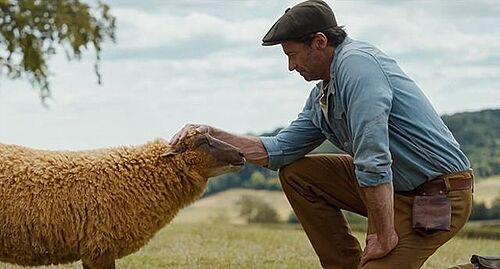 billede fra Fårbrydelsen