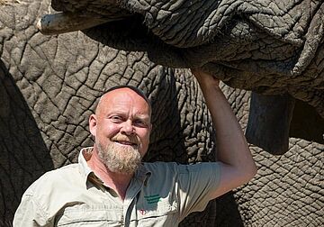 BLANDT AFRIKAS ELEFANTER