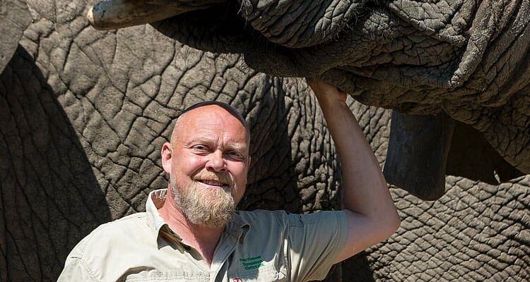 BLANDT AFRIKAS ELEFANTER